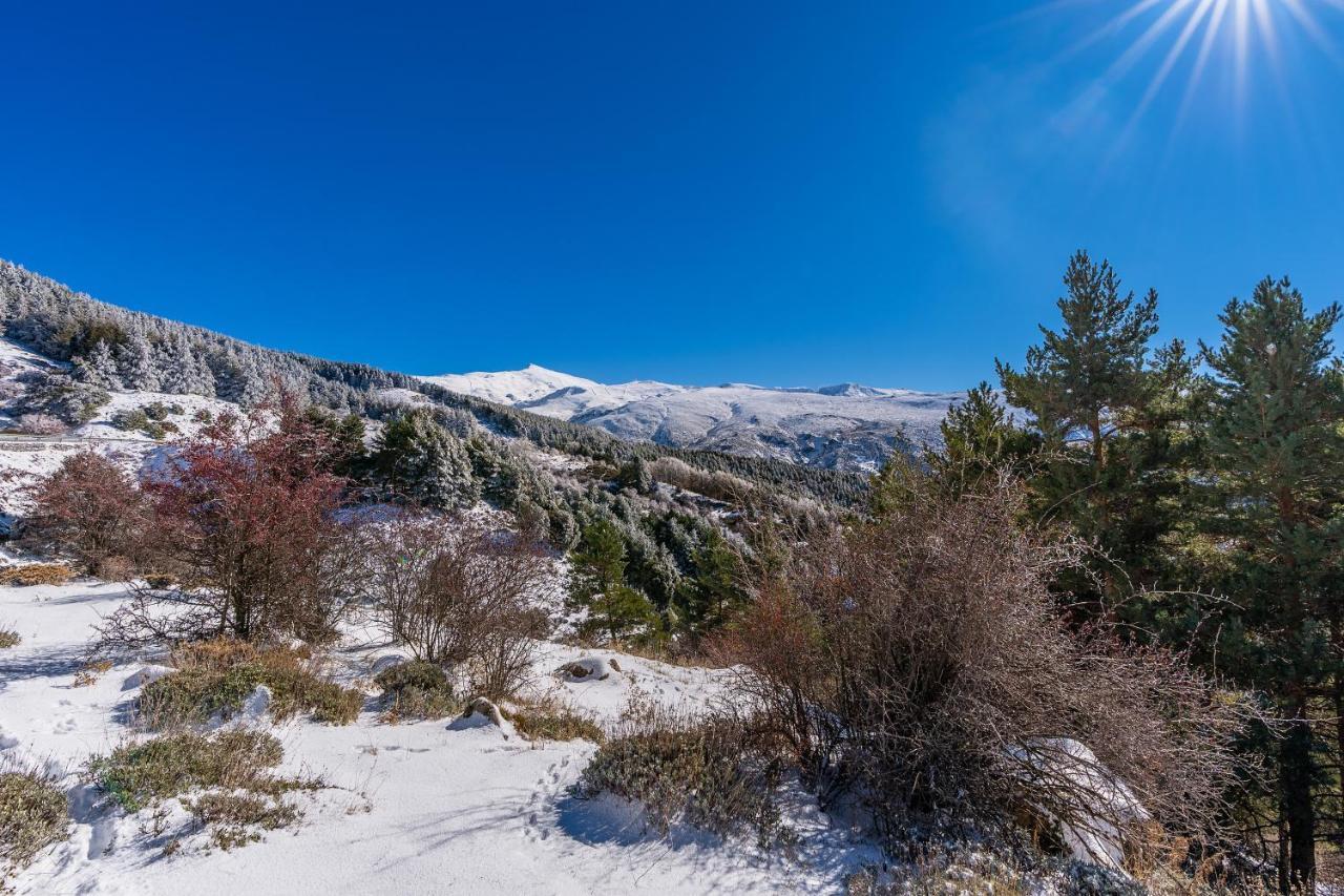 Apartamento Candela Sierra Nevada Eksteriør billede